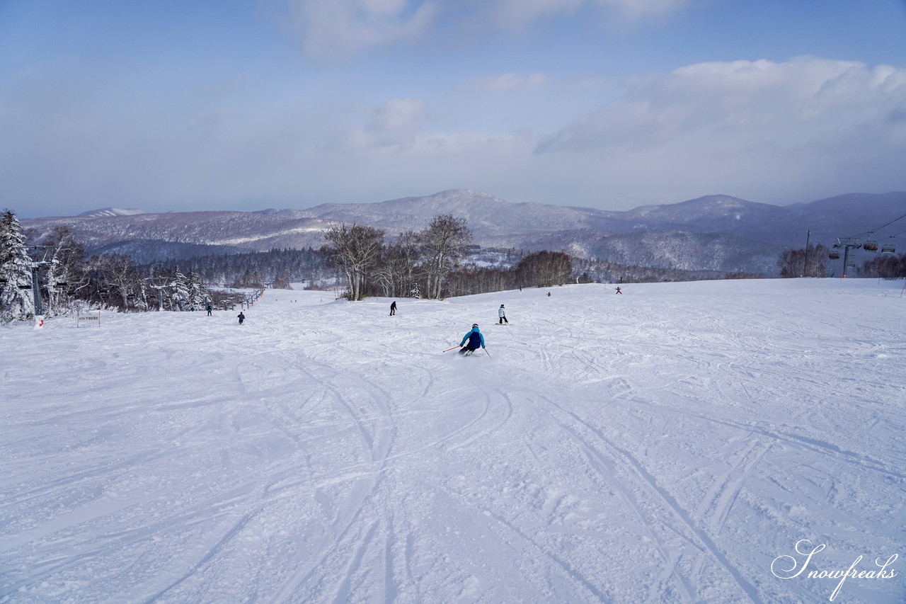 札幌国際スキー場 これぞ北海道。粉雪が降り積もったゲレンデはコンディション良好！そして、早くも全コース滑走可能です(*^^)v